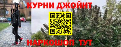 стаф Жуковский