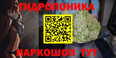 тгк Заводоуковск