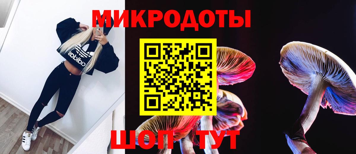 Кизилюрт  Псилоцибиновые грибы ЛСД  Псилоцибиновые грибы мицелий  Вход с VPN 